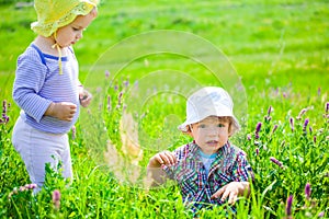 Baby boy and baby girl on a meadow
