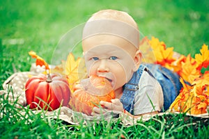 Baby boy with blue eyes in t-shirt and jeans romper lying on grass field meadow in yellow autumn leaves