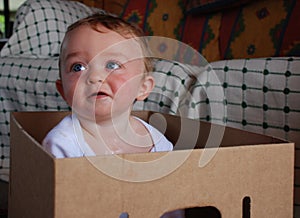 Baby boy in cardboard box