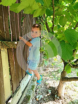 Baby boy climbing a fence