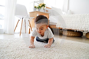 Baby boy crawling on the floor in living room indoors. Toddler Asian family at home