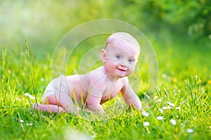 Baby boy crawling in the garden