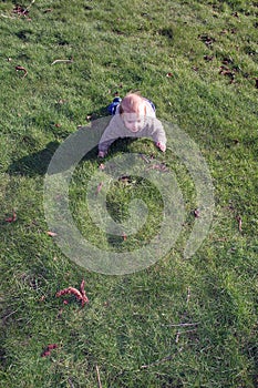 Baby boy crawling on grass