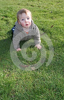 Baby boy crawling on grass