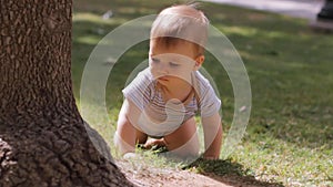 Baby boy crawling on the grass, outdoors on a windy day