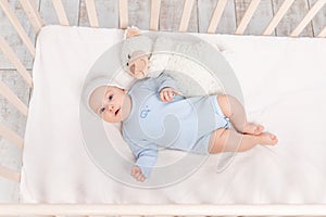 Baby boy in crib with teddy bear toy goes to bed or woke up in the morning, family and birth concept