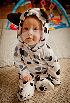 Baby boy In Dalmatian costume