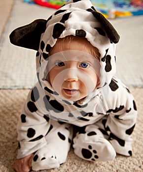 Baby boy In Dalmatian costume