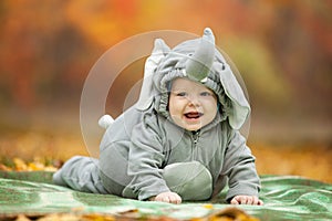 Baby boy dressed in elephant costume in park