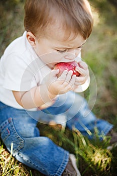 Baby boy eating an apple