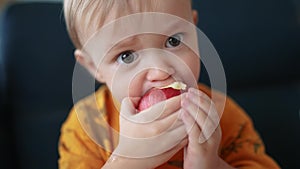 baby boy eating an apple. healthy a eating kid dream concept. baby sitting on the sofa eating an apple. close-up baby