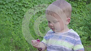 Baby boy eating cherries in garden. Cherries in a plate on a table.