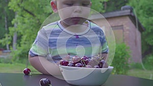 Baby boy eating cherries in garden. Cherries in a plate on a table.