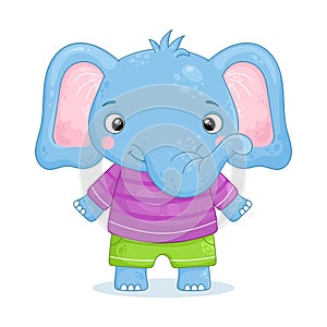 Baby boy elephant stands and smiles in a clothes. Cute animal on a white background. Vector illustration in a cartoon