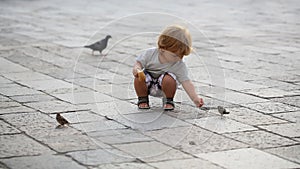 Baby boy feeding birds