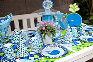 Baby boy first birthday party - outdoor table set