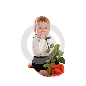 Baby boy gentleman suit and tie butterfly with rose