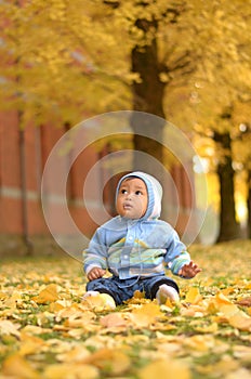 Baby boy among ginkgo tree leaf in autumn