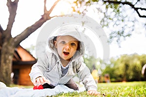 Baby boy on the grass in the garden.