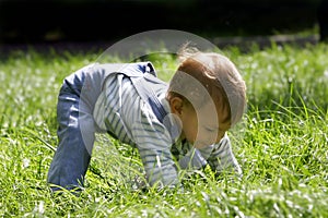 Baby boy in green grass