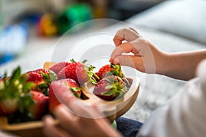 Baby boy hands touch and take raw fresh strawberries on wooden bamboo plate indoor. baby exploring fruit