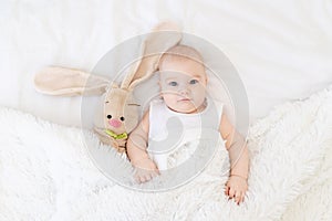 Baby boy lying or waking up in a crib with a bunny toy, cute, funny six-month-old, smiling little baby