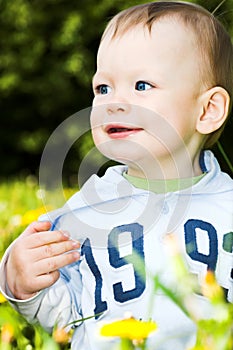 Baby boy play with dandelions