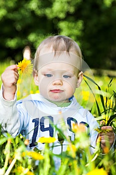 Baby boy play with dandelions