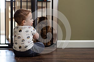 Baby boy playing in front of a baby gate with cat