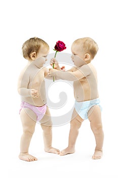 Baby boy present rose flower to baby girl.