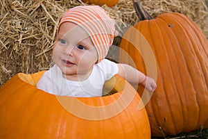 Baby boy in pumpkin