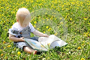 Baby Boy reading book in dandelions