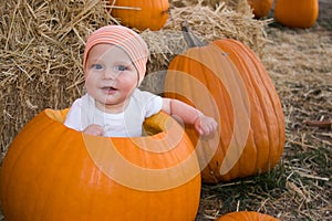 Baby boy sat in pumpkin photo