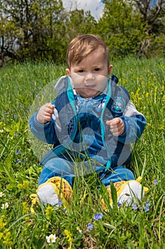 The baby boy sits in the nature and plays with the grass