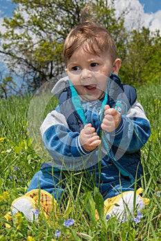 The baby boy sits in the nature and plays with the grass