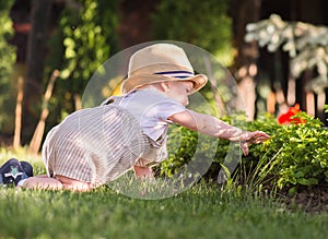 Baby boy sitting on the grass in the garden on beautiful spring