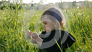 Baby boy sitting in tall green grass and studying