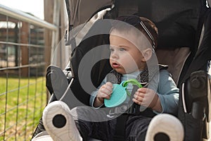 Baby boy in stroller in summertime