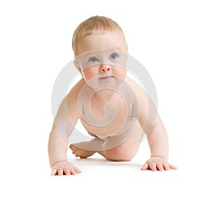 Baby boy toddler isolated trying to stand up