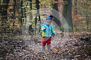 Baby boy walking through the autumn forest