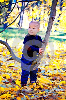 Baby boy in the woods