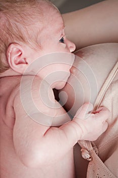 Baby breastfeeding