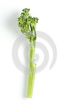 Baby broccoli