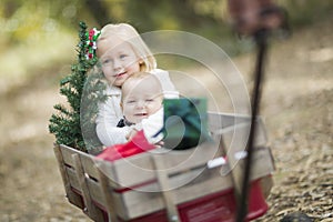 Baby Brother and Sister Pulled in Wagon with Christmas Tree