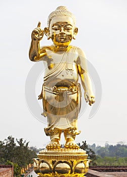 The Baby Buddha gold statue