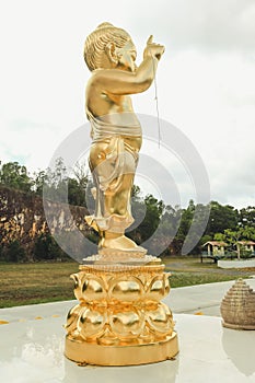 Baby Buddha gold statue