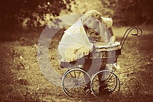 Baby buggy photo