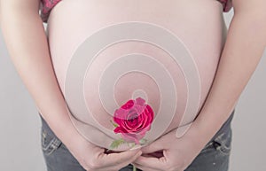 Baby bump rose