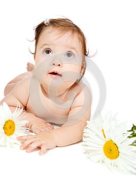 Baby with camomiles