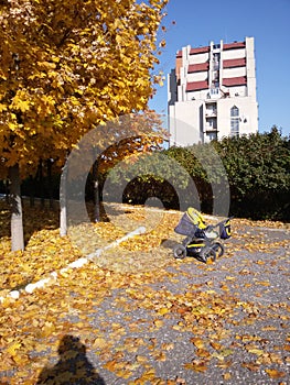 Baby carriage in autumn park